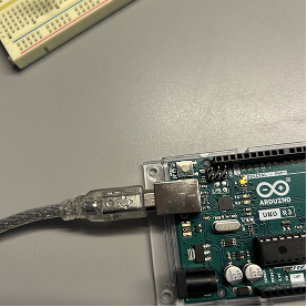 This is the line cord plugged into the arduino board.