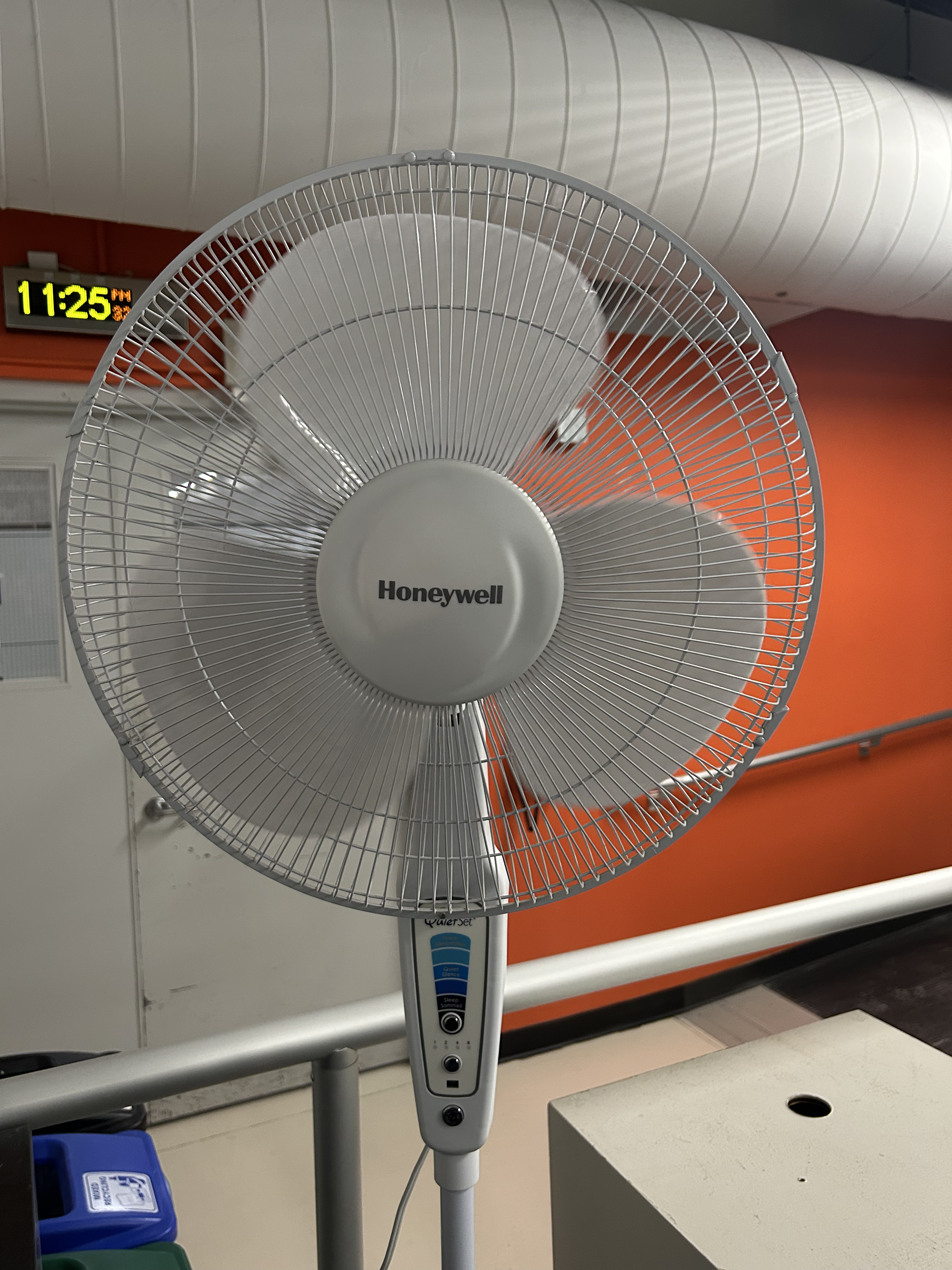 description<br><audio controls src='/audio/birds.mp3'></audio>